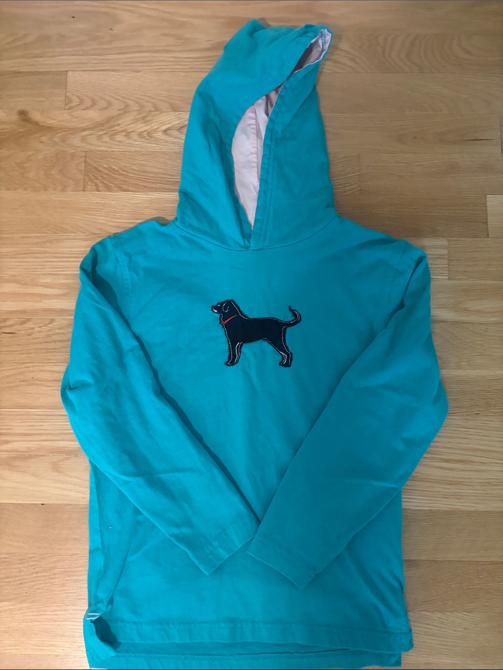Black Dog teal hooded pullover, kids size small